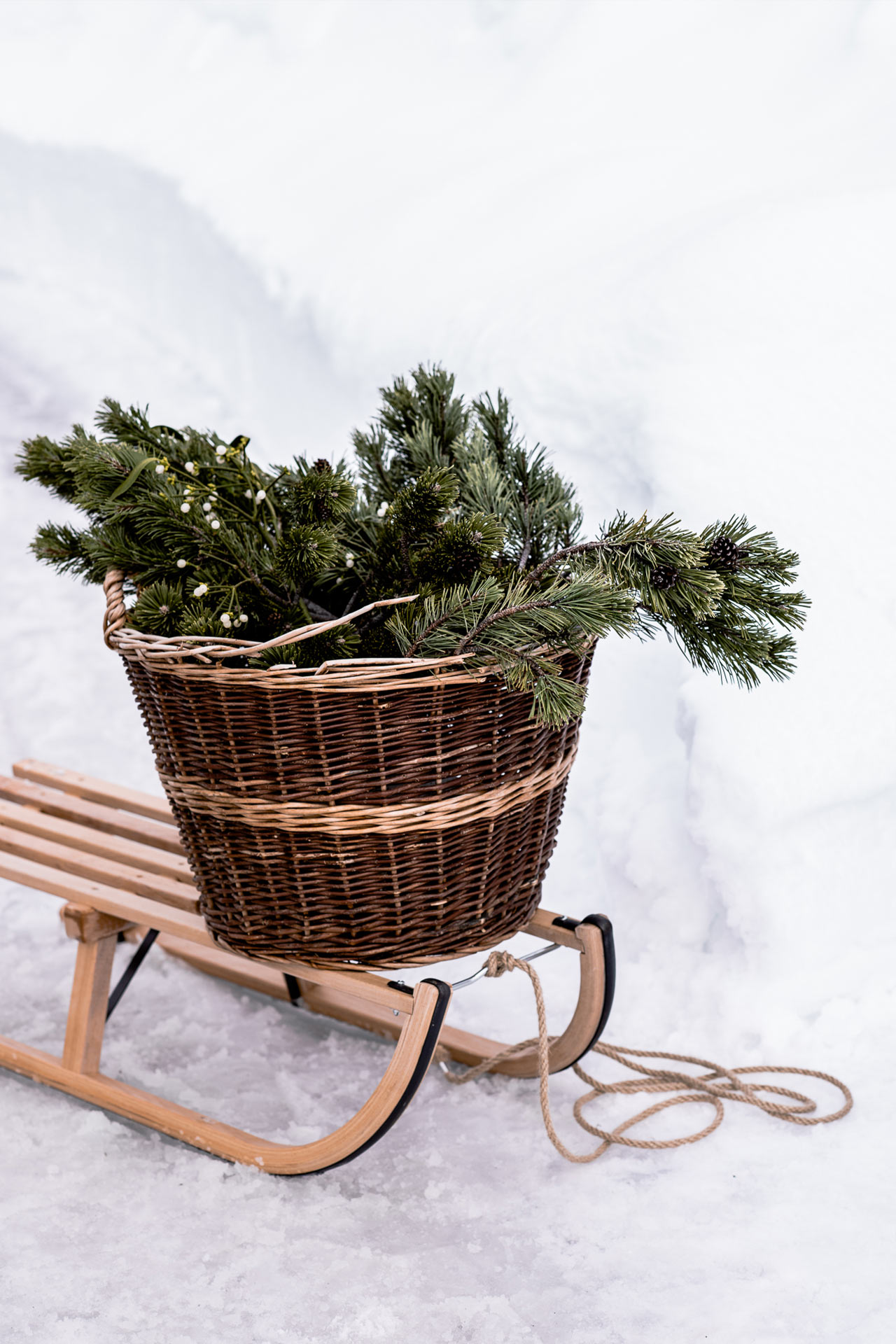Detailaufnahme eines dekorierten Schlittens im Schnee