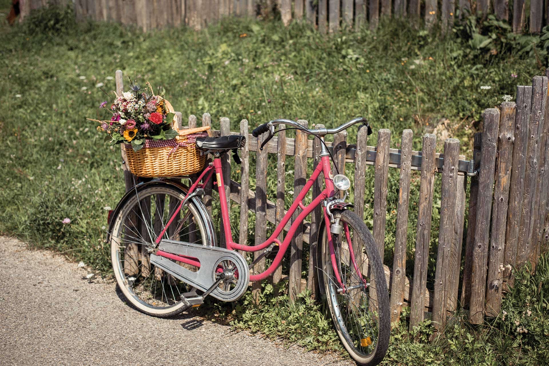 Detailaufnahme eines bunten Blumenstrauß in einem Picknickkorb auf einem Fahrrad